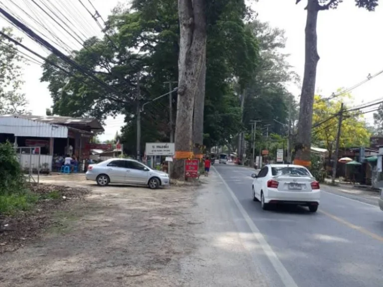 ขายที่ดินติดถนนต้นยาง ทำเลค้าขายได้