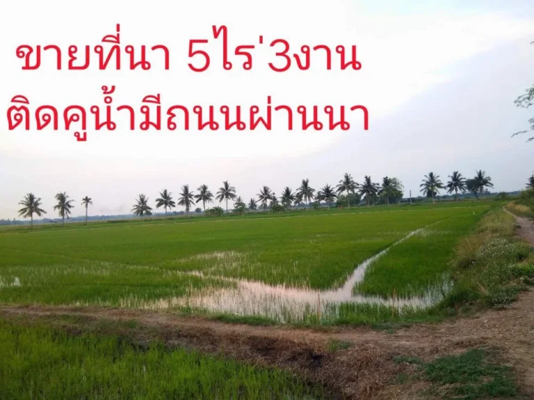 ขายที่นา 5-3-91 ไร่ ติดถนน-คูน้ำ เข้า-ออกสะดวก ขายด่วน