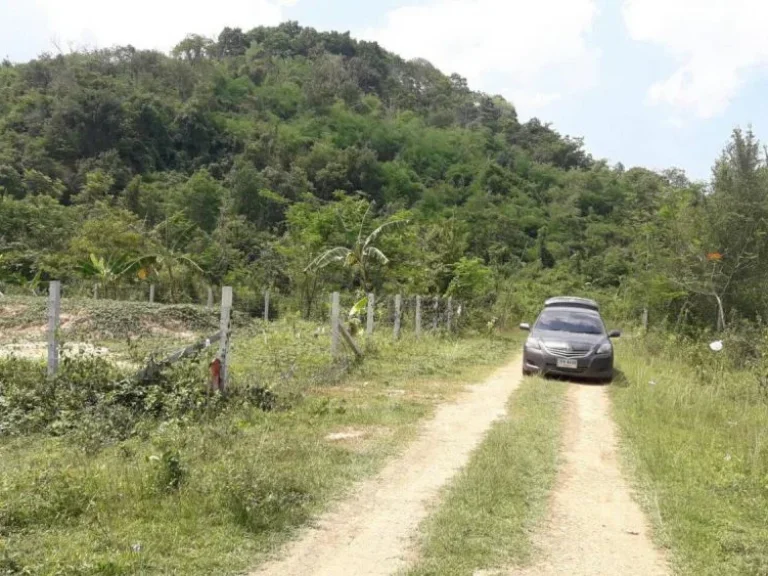 ขายที่ดิน50ตรว ติดเขาส่องกล้อง โฉนดพร้อมโอน