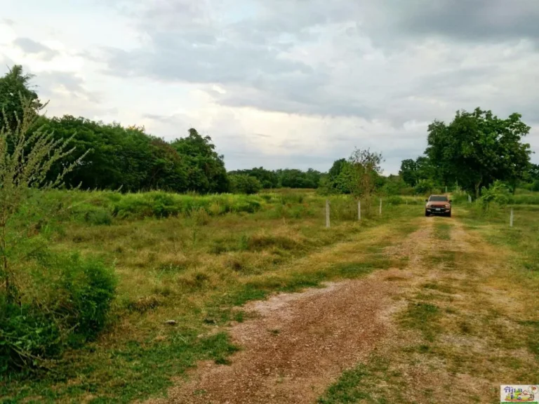 ที่ดินใกล้พุทธมณฑลอิสาน ห่างถเลี่ยงเมือง400 ม ใกล้คลองชลประทาน ขอนแก่น