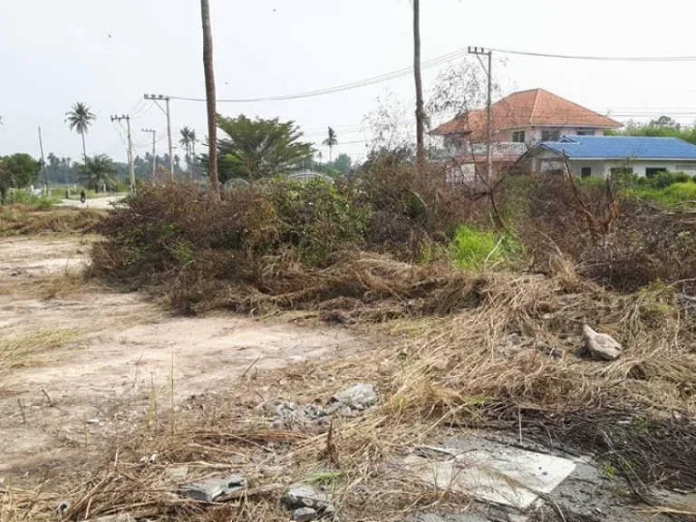 ขายทีดิน75ไร่ตระเคียนเตื้ย