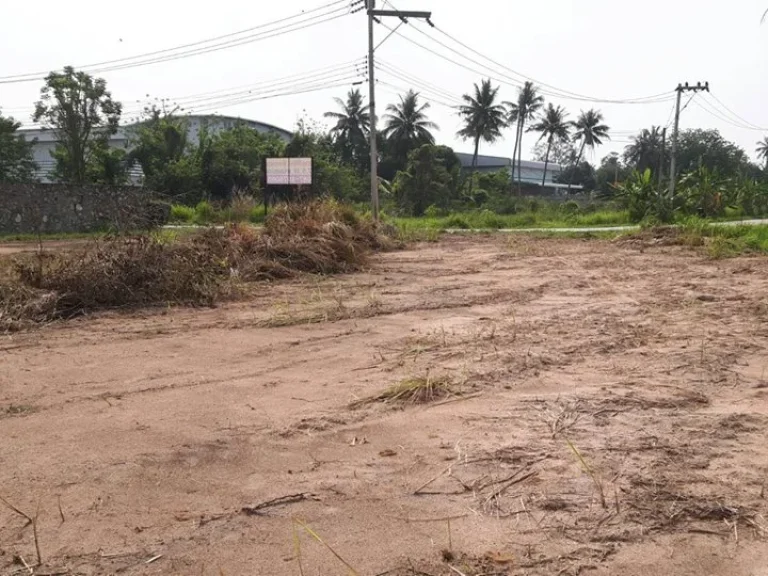 ขายทีดิน75ไร่ตระเคียนเตื้ย