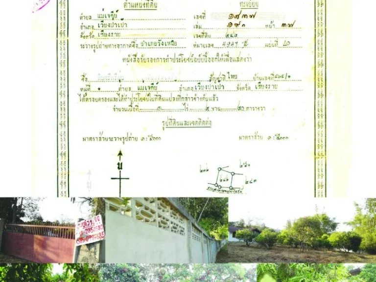 ขายที่ดิน จเชียงราย 1 ไร่ 2 งาน 20 ตารางวา