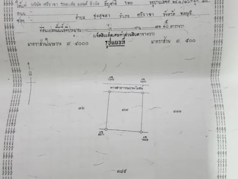 ขาย บ้านเดี่ยว 2 ชั้น เนื้อที่ 71 510 ตรวหมู่บ้านธารดารา ศรีราชาโกลเด้นแลนด์