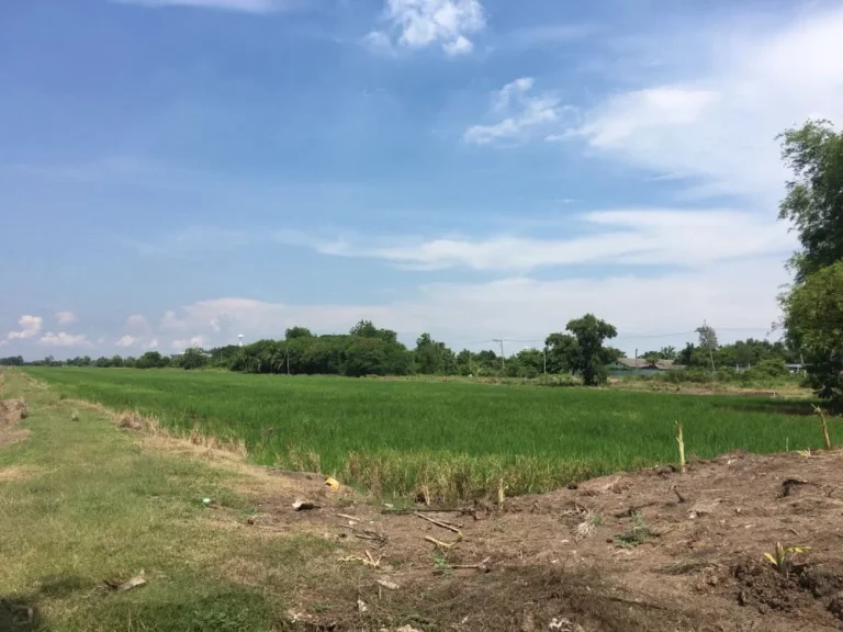 ขายที่ดินติดถนนทางหลวงชนบทปทุมธานี 4001 ระหว่างคลองหลวง หนองเสือ