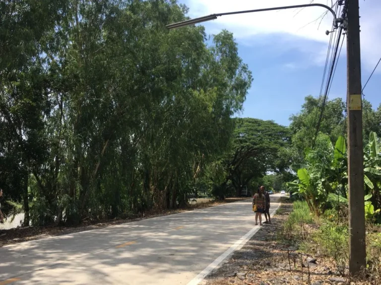 ขายที่ดินติดถนนทางหลวงชนบทปทุมธานี 4001 ระหว่างคลองหลวง หนองเสือ