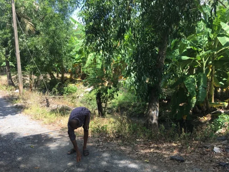 ขายที่ดินติดถนนทางหลวงชนบทปทุมธานี 4001 ระหว่างคลองหลวง หนองเสือ