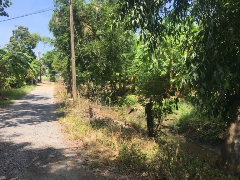 ขายที่ดินติดถนนทางหลวงชนบทปทุมธานี 4001 ระหว่างคลองหลวง หนองเสือ