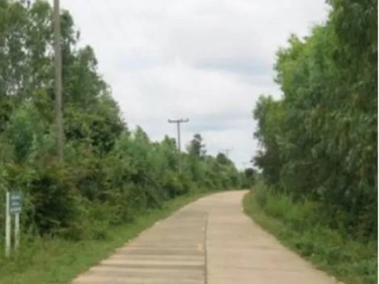 ขายที่ดิน ใกล้แหล่งท่องเที่ยว อำเภอศรีเมืองใหม่ จังหวัดอุบลราชธานี