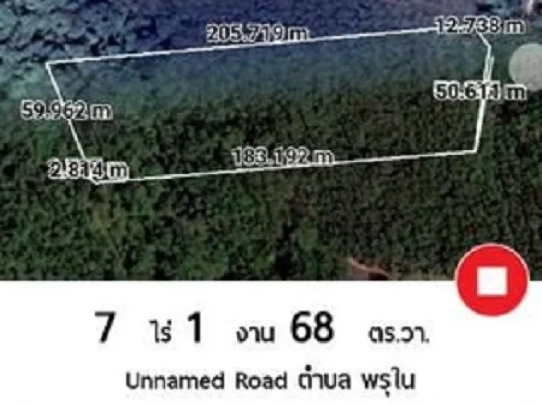 ขายที่ดิน 4ไร่ 60 ตารางวา บนเกาะยาวใหญ่ จังหวัดพังงา