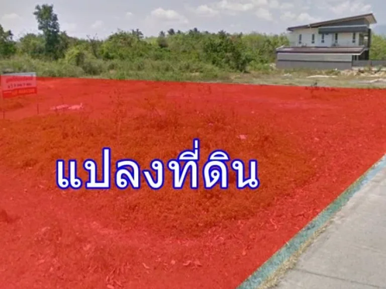 ขายที่ดินทำเลดี ใกล้รพธนบุรี-ทุ่งสง