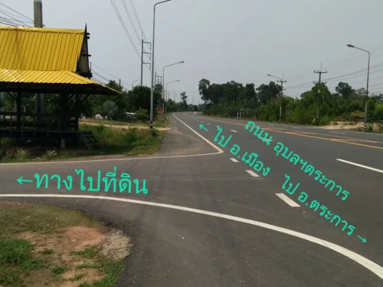 ประกาศขายที่ดิน 80 ไร่ 3 งาน