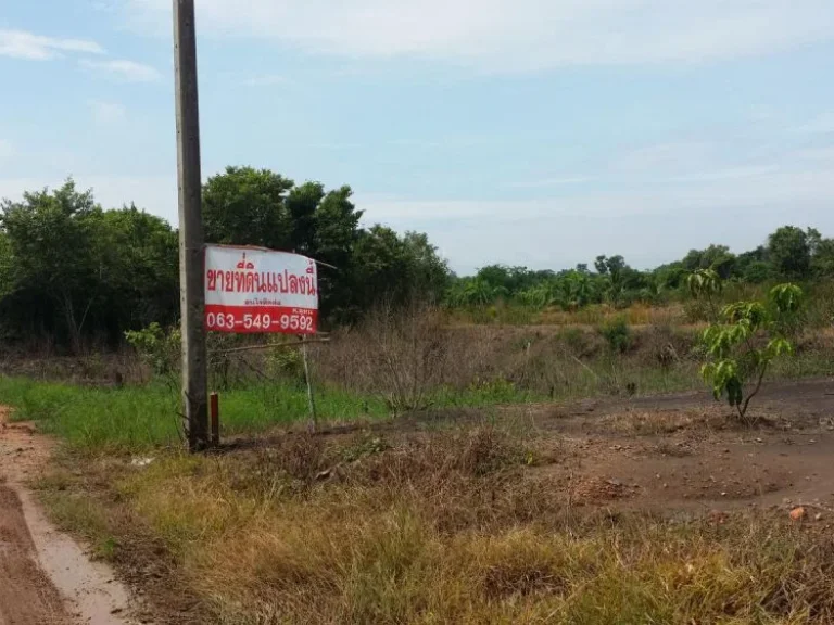 ขายที่ดินเปล่า 202 ตรวา ตพระยาบันลือ อลาดบัวหลวง อยุธยา ราคา 800000 บาท ใกล้ถนนเส้น 340 ตลิ่งชัน-สุพรรณบุรี ประมาณ7 กม