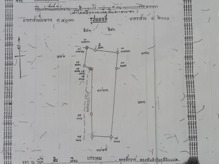 ขายที่นาติดถนนใกล้เมืองมาก จำนวน 5-1-70 ไร่ ตหมื่นไวย อเมืองนครราชสีมา ไร่ละ 1700000 บาท