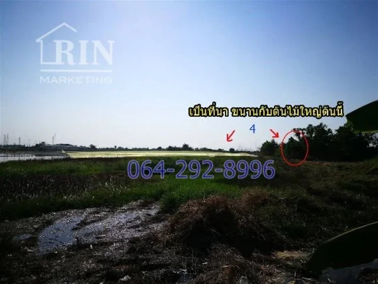 ที่ดินถูก 300 ตรว สุวินทวงศ์51 หนองจอก ทำเลดีใกล้ถนนใหญ่ 500m 064-292-8996