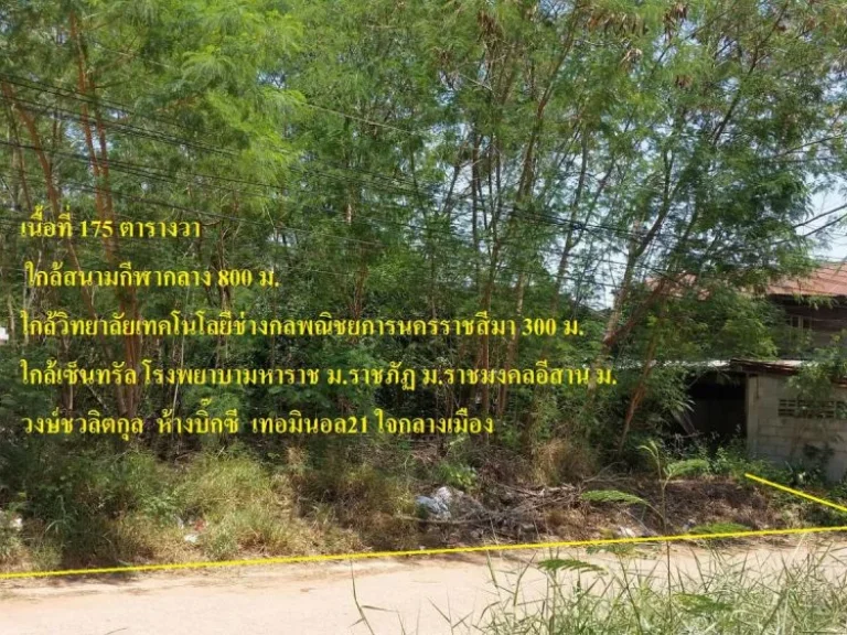 ขายที่ดิน 175 ตรว เหมาะสำรับสร้างหอพักและอพาร์ทเม้นท์หรือที่พักอาศัย ใกล้ห้างและมหาลัยหลายสถาบัน จังหวัดนครราชสีมา