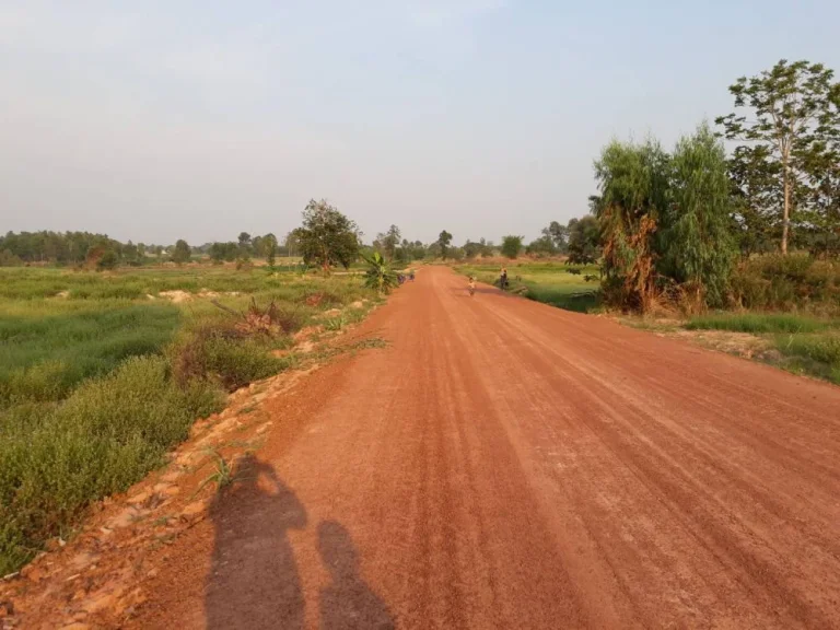 ที่ดินสวยๆเหมาะแก่การทำการเกษตร ราคาคุยกันได้ บ้านโนนชาด