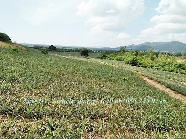 ที่ดินแปลงใหญ่บนเนินเขาวิวทิวทัศน์สวย