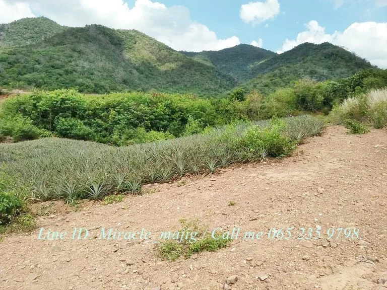 ที่ดินแปลงใหญ่บนเนินเขาวิวทิวทัศน์สวย