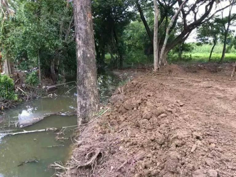 ขายที่ดินบ้านมอญ ด้านหลังติดลำเหมือง