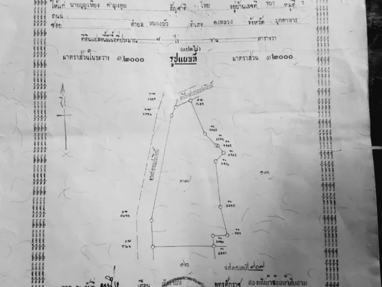 ขายที่ดิน 8 ไร่ 25ล้านบาท