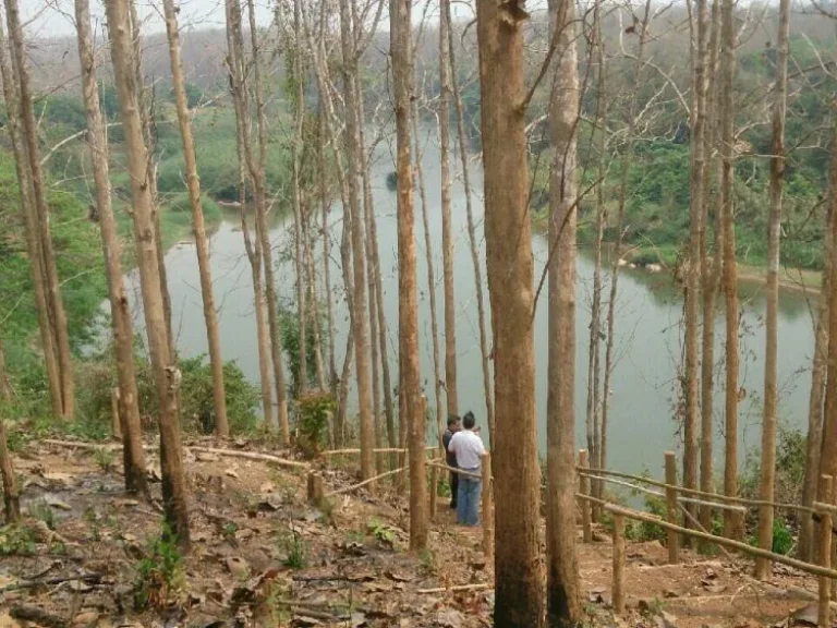 ขายที่ดินมีโฉนด ติดแม่น้ำ 8ไร่ อำเภอเมืองน่าน จังหวัดน่าน