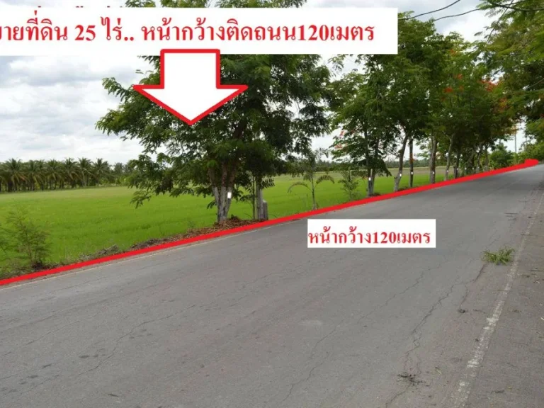 ขายที่ดิน25ไร่ ตคลองตัน อบ้านแพ้ว จสมุทรสาคร ที่ดินติดถนนราดยางหน้ากว้าง120เมตร ด้านหลังติดคลองมะพลับ ที่ดินเป็นสวนมะพร้าวและนาข้า