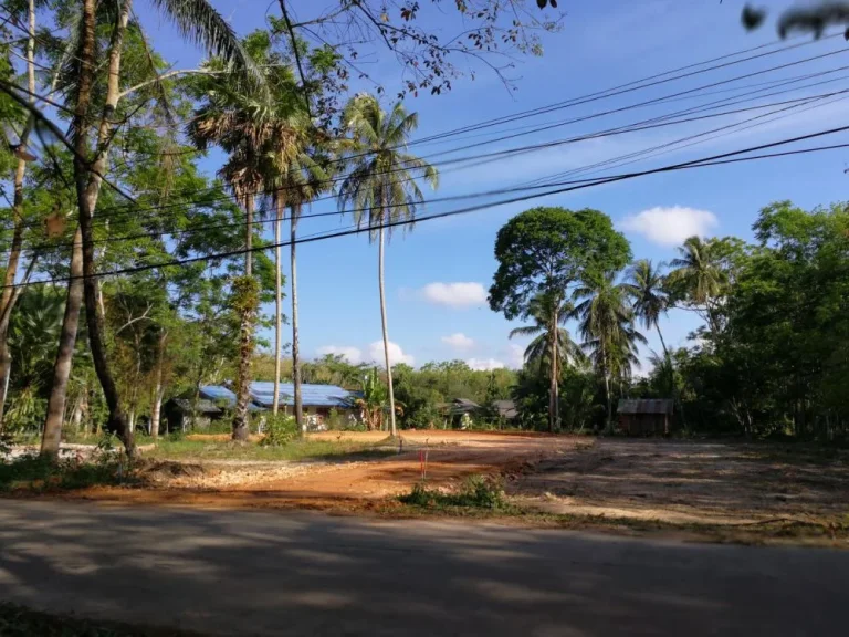 ขายที่ดิน 138 ตรว 990000 ท่าข้าม หาดใหญ่ ใกล้ มอ