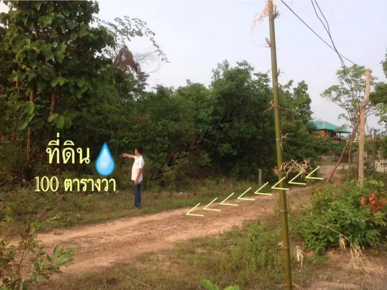 ขายที่ดิน ขนาด 100 ตรวา ซอยกิตติศักดิ์ จมุกดาหาร