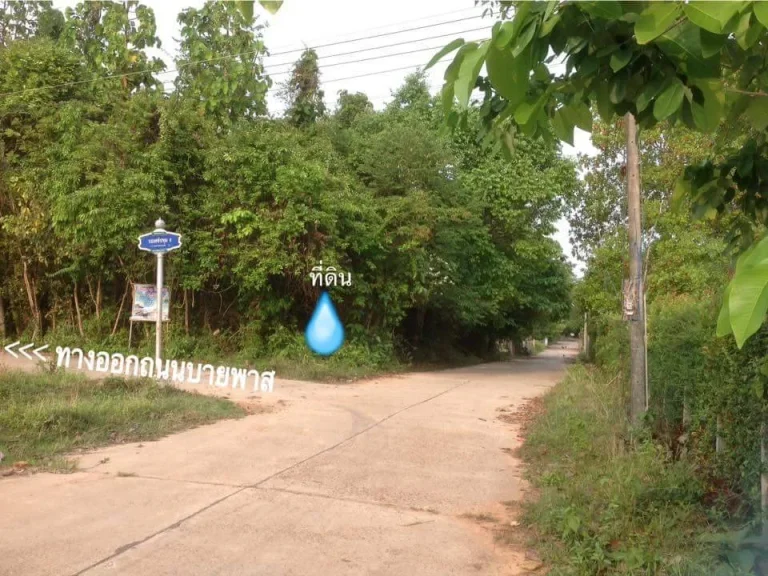 ขายที่ดิน ติดถนน 3 ด้าน ซอยศรีปทุม 8 อเมืองมุกดาหาร