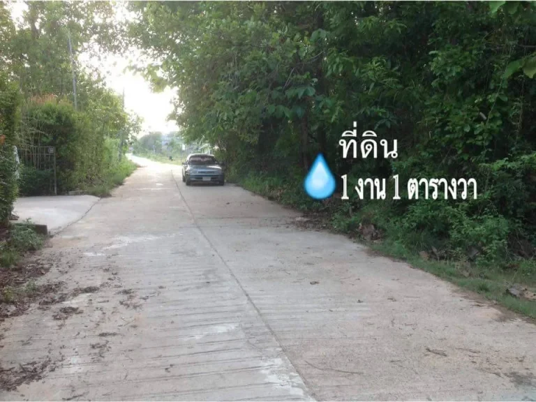 ขายที่ดิน ติดถนน 3 ด้าน ซอยศรีปทุม 8 อเมืองมุกดาหาร