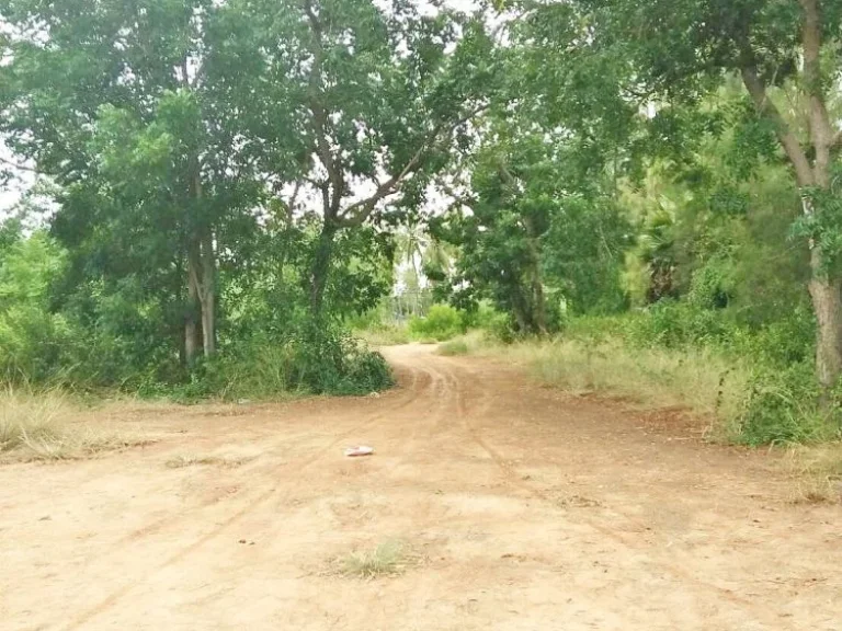 ขายที่ดินติดชายหาดทรายขาวสวย