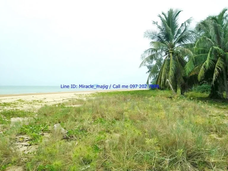 ขายที่ดินติดชายหาด ทรายขาว หาดสวย