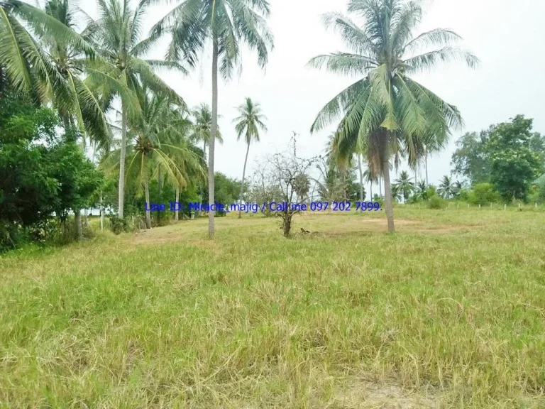 ขายที่ดินติดชายหาด ทรายขาว หาดสวย