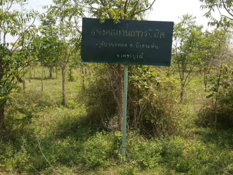 ขายที่ดินใกล้โลตัสใหญ่ สวนเกษตร1ไร่มีโฉนดผ่อนได้36งวด