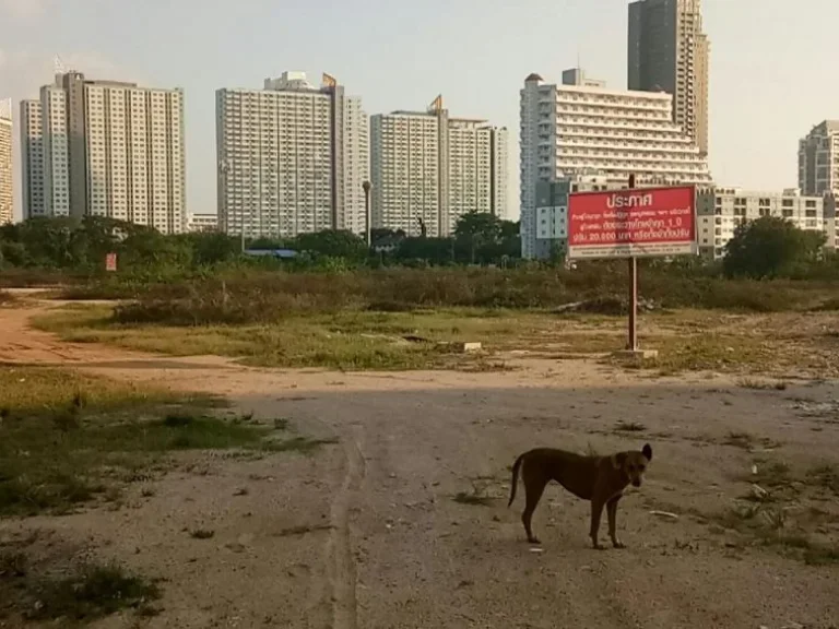 ขายที่ดิน 27 ไร่บนถนนจอมเทียนสาย 2 ตัดใหม่