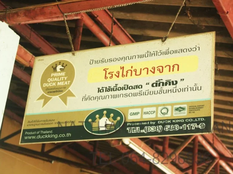 ขายกิจการโรงไก่บางจาก พร้อมบ้านเดี่ยว 2 ชั้น ใจกลางเมืองระยอง