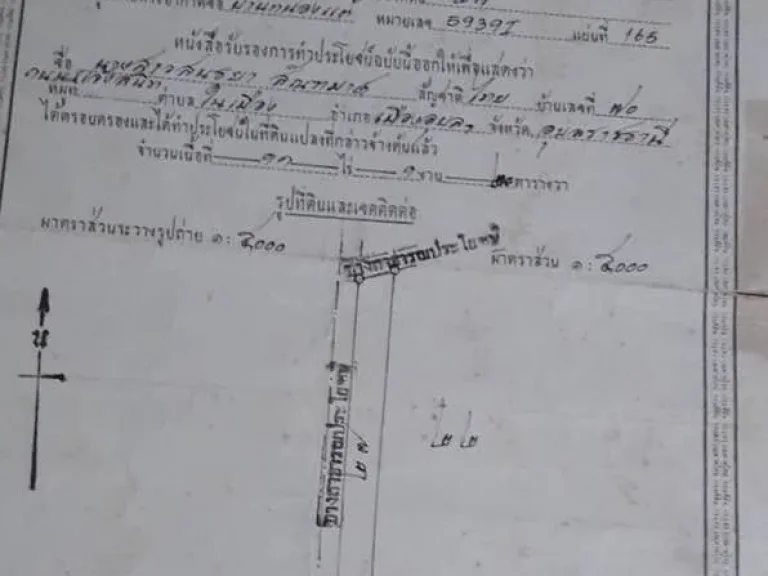 ขายที่ดินที่อเมืองอุบลตกระโสบ 11ไร่1งาน21ตรว 11ล้านบาท