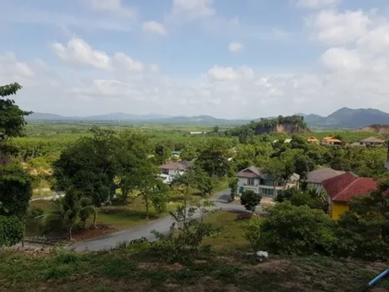 ขายที่ดินเปล่า100 ตรวในโครงการบ้านสวนธนวัฒน์ บ้านบนเขา 