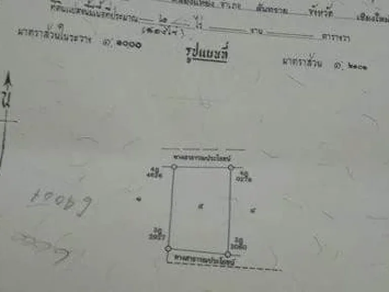 ขายที่ดินบ้านทุ่งข้าวตอก สันทราย