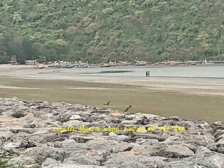 ขายที่ดินติดถนนหน้าชายหาดเขากระโหลก