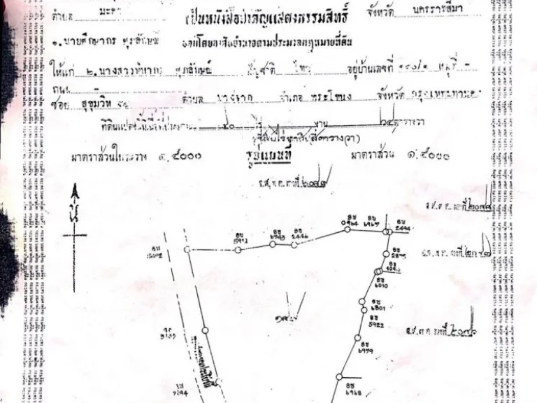 ที่ดินตำบลมะค่า อำเภอโนนสูง จังหวัดนครราชสีมา