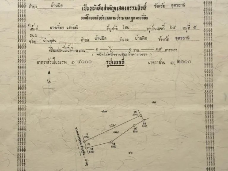 ขายถูก ที่ดินเปล่า 1-1-19 จุดสังเกตวัดป่าภูทอง บ้านภูดิน ตบ้านผือ อบ้านผือ จอุดรธานี