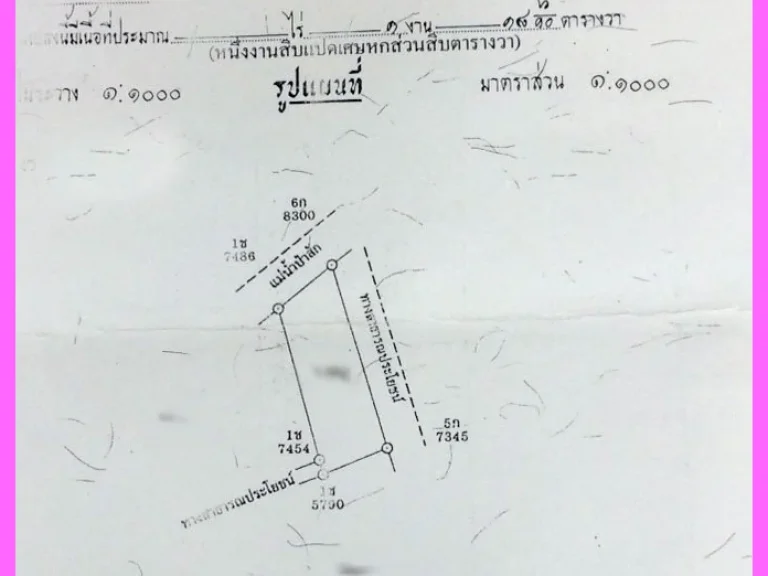 ขายที่ดิน 118 ตารางวา ติดแม่น้ำป่าสัก ตาลเดี่ยว แก่งคอย