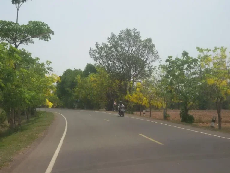 ที่ดินสวยบ้านหนองโพรงติดลาดยางสายหลัก