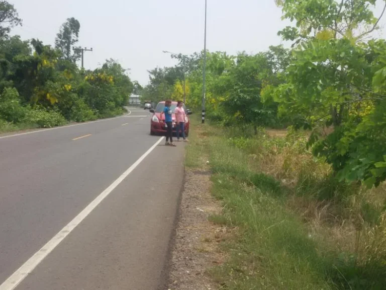 ที่ดินสวยบ้านหนองโพรงติดลาดยางสายหลัก