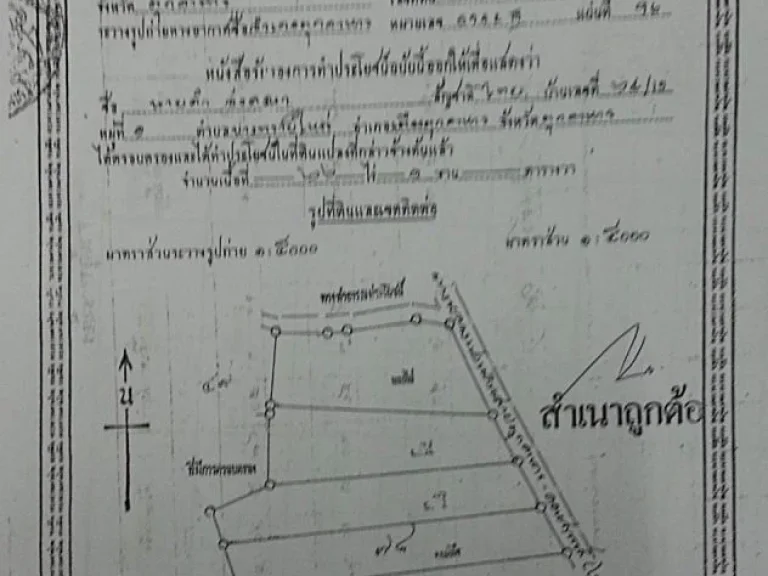 ที่ดิน มุกดาหาร ติดถนนใหญ่ ใกล้สะพาน