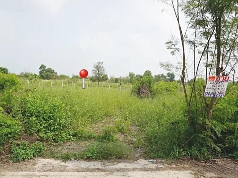 ที่ดิน คลอง 12 หนองเสือ ตำบลหนองสามวัง อำเภอหนองเสือ ปทุมธานี 60 ตรว