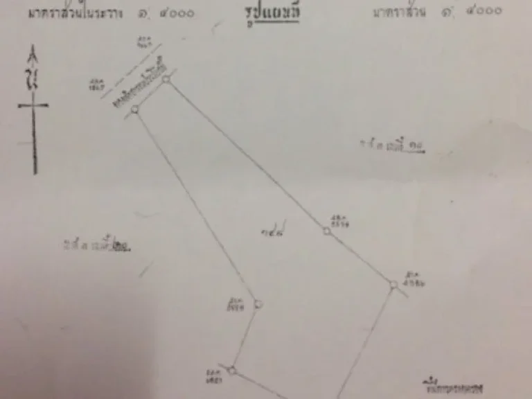 ขายด่วน ที่ดินมีโฉนด พร้อมต้นยูคาลิปตัส ประมาณ 10000 ต้น ความสูง 2 เมตร ที่แปลงสวย ทำเลดีมาก เนื้อที่ 30-2-50 ตสามแยก อวิเชียรบุรี จเพชรบูรณ์