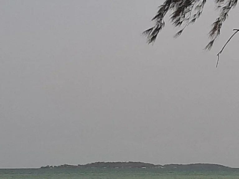 ขายที่ดินติดทะเล ชายหาดส่วนตัว 2 ไร่ เหมาะสำหรับปลูกบ้านติดทะเลหาดส่วนตัว